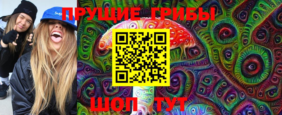 Тельмана  Псилоцибиновые грибы Psilocybe  Вход с VPN 